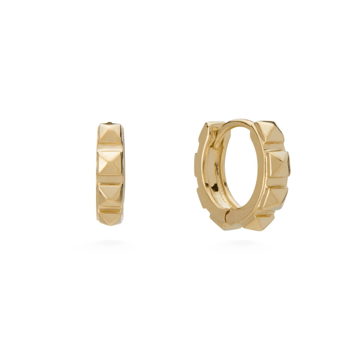 Cestius Earring