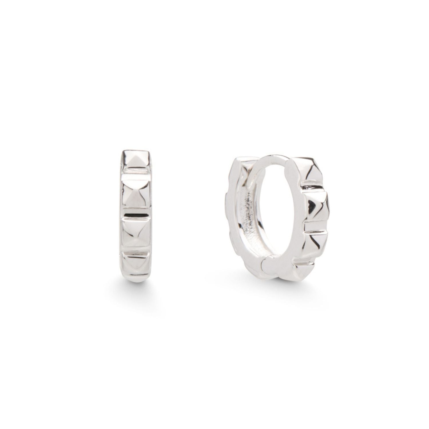 Cestius Earring