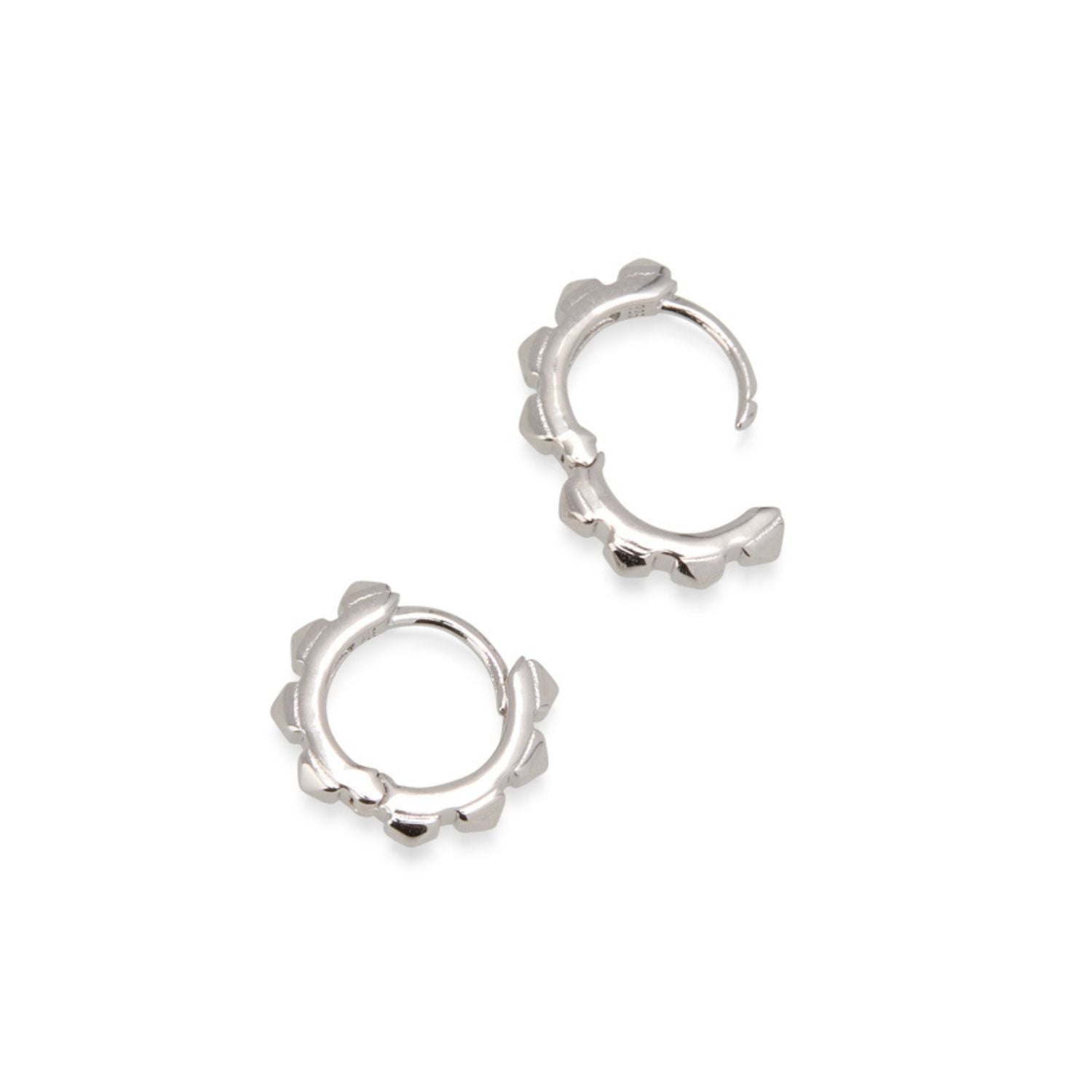 Cestius Earring