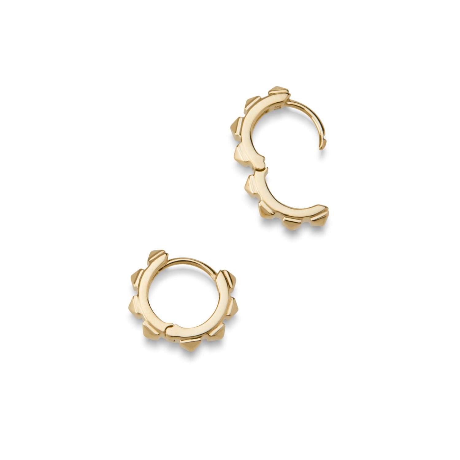 Cestius Earring
