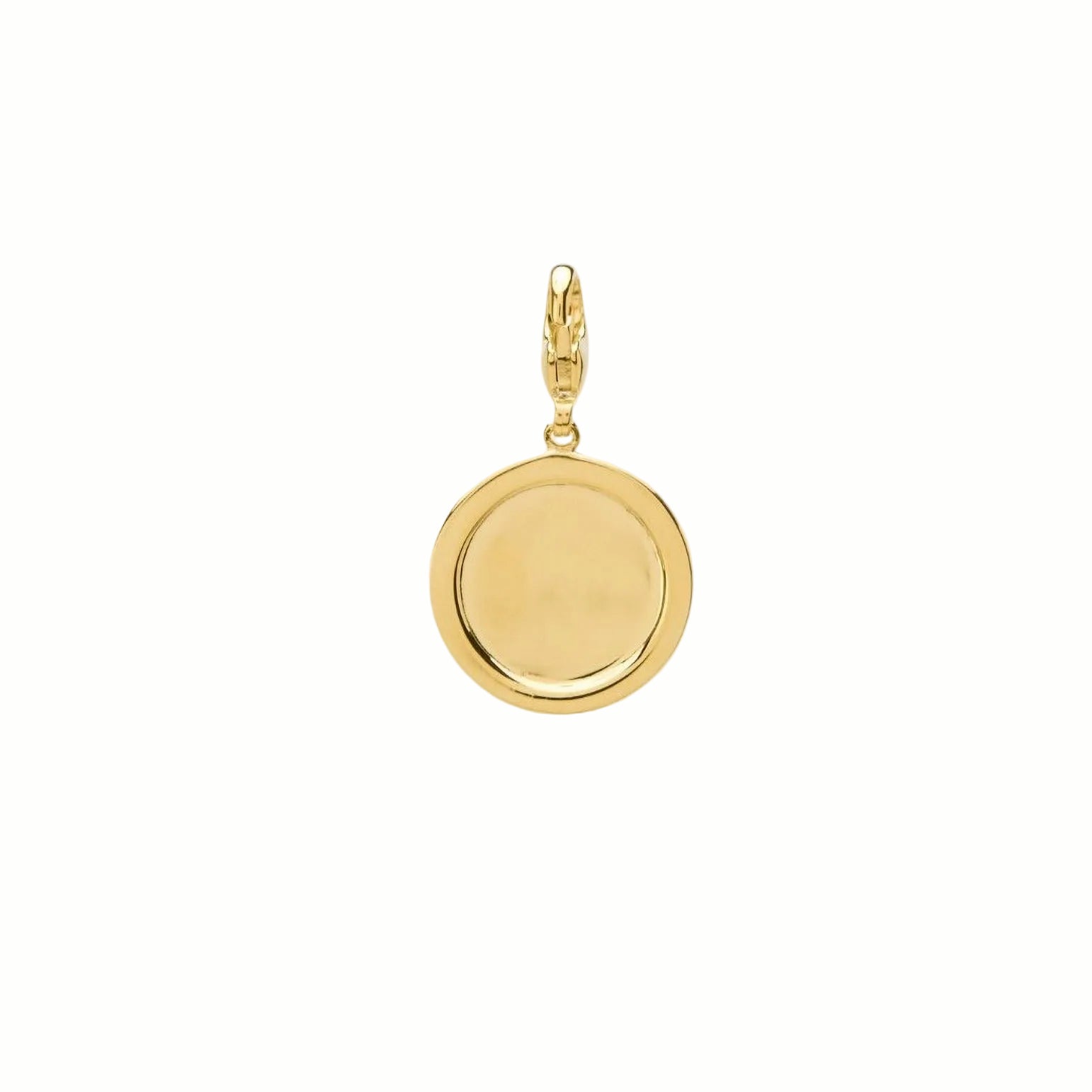 Virtus Pendant  ✴Courage✴ image 5